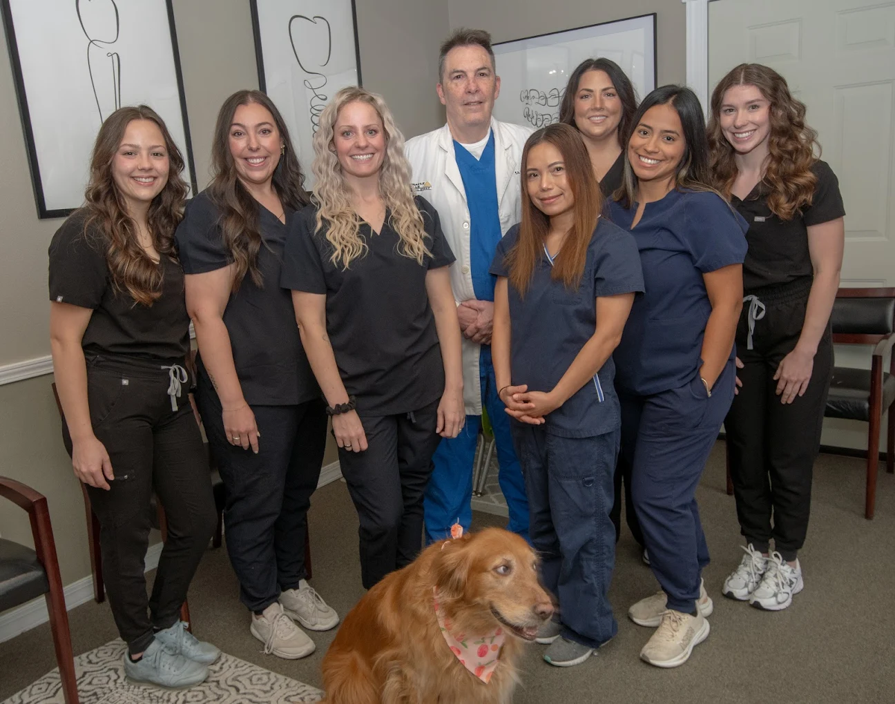 Pinnacle Hills Dental Group of Bentonville Pinnacle Hills Dental Group